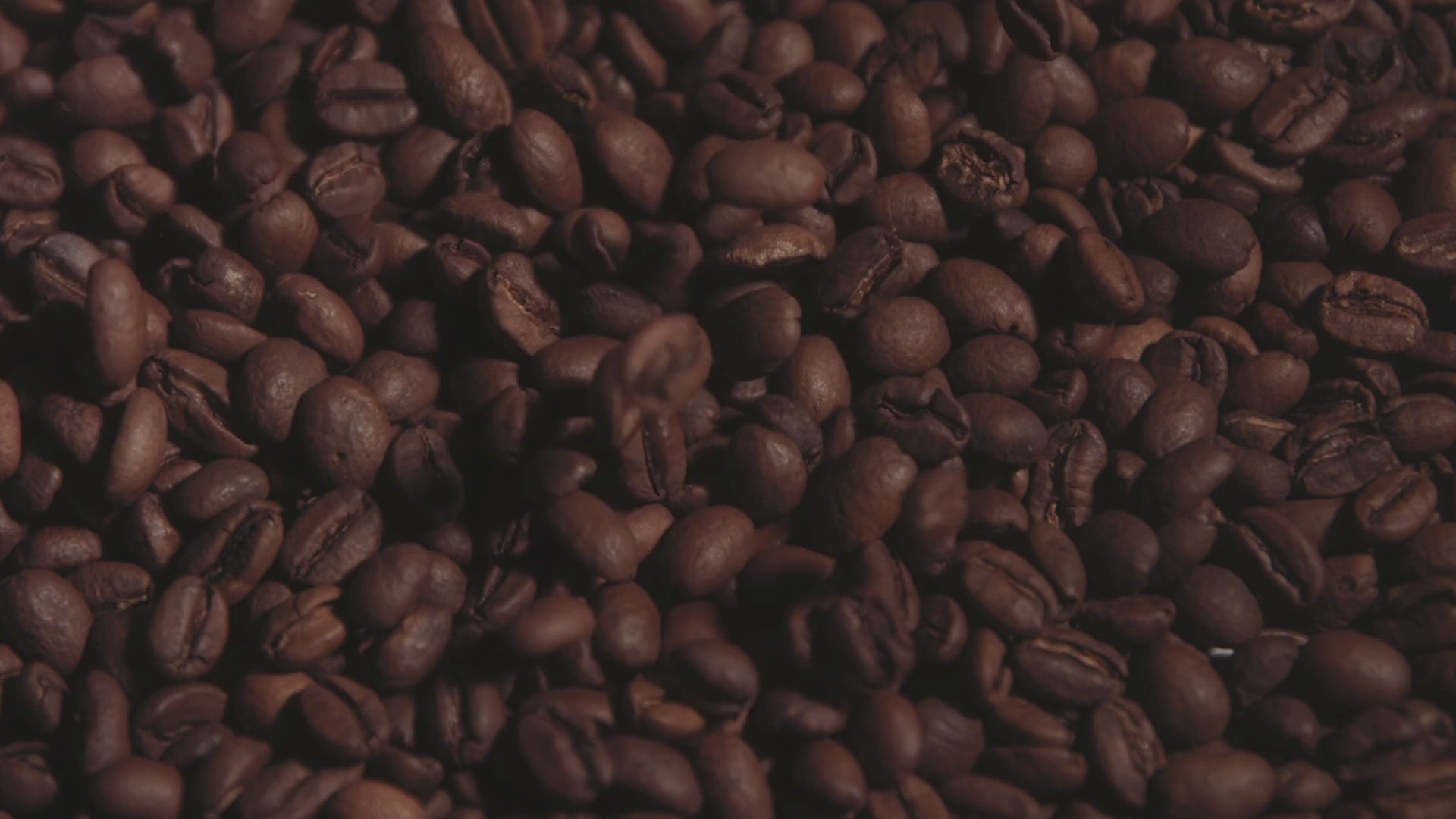 Load video: Slow-motion shots of premium coffee beans pouring, roasting, and grinding. Rich textures, glossy roasted surfaces, and aromatic steam. A cinematic showcase of MUG Coffee Co™’s small-batch specialty coffee — bold roasts, fresh grounds, and chaotic charm.